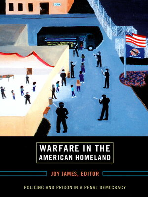 cover image of Warfare in the American Homeland